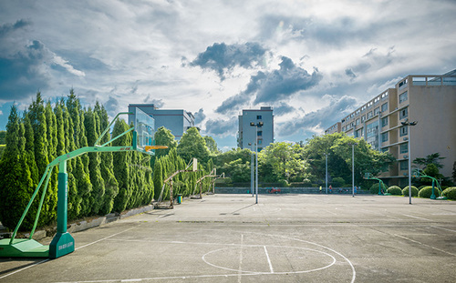 篮球场向动漫楼